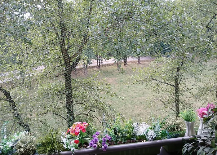 Meadow View 10